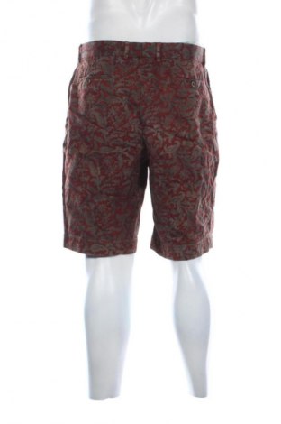 Pantaloni scurți de bărbați Polo Ralph Lauren, Mărime L, Culoare Multicolor, Preț 179,99 Lei