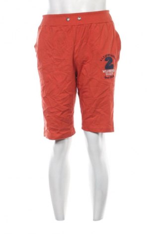 Мъжки къс панталон Unbranded, Размер L, Цвят Кафяв, Цена 8,18 €