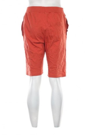 Мъжки къс панталон Unbranded, Размер L, Цвят Кафяв, Цена 8,18 €