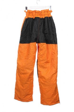 Férfi nadrág téli sportokhoz Astrolabio, Méret XS, Szín Narancssárga
, Ár 8 389 Ft