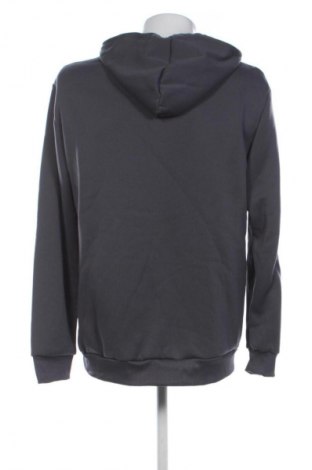 Herren Sweatshirt Unbranded, Größe L, Farbe Grau, Preis € 11,99