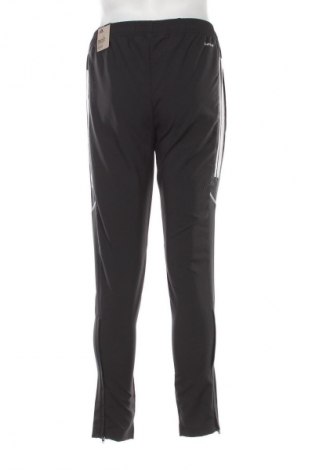 Herren Sporthose Adidas, Größe M, Farbe Mehrfarbig, Preis € 49,99