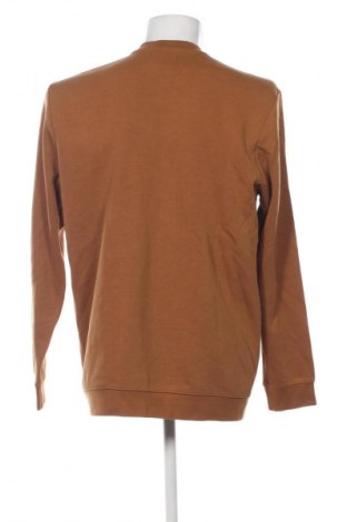 Herren Sportoberteil Tom Tailor, Größe XL, Farbe Braun, Preis € 17,99