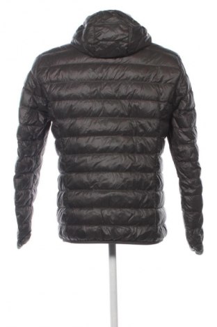Herrenjacke Emporio Armani, Größe XL, Farbe Grün, Preis 179,99 €