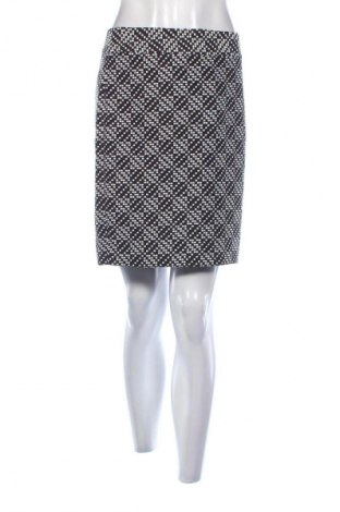 Φούστα Ann Taylor, Μέγεθος M, Χρώμα Πολύχρωμο, Τιμή 26,99 €