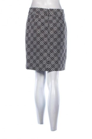 Φούστα Ann Taylor, Μέγεθος M, Χρώμα Πολύχρωμο, Τιμή 26,99 €