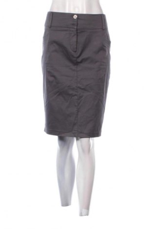 Φούστα Noix, Μέγεθος M, Χρώμα Γκρί, Τιμή 9,99 €