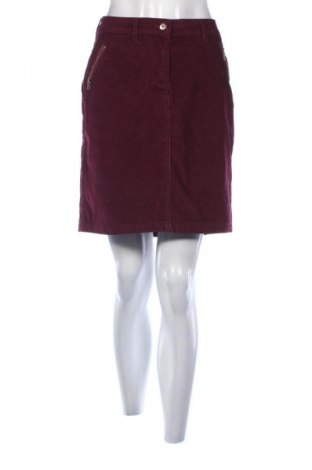 Φούστα TCM, Μέγεθος XL, Χρώμα Βιολετί, Τιμή 8,99 €