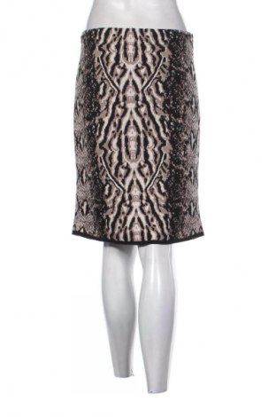 Φούστα Taifun, Μέγεθος L, Χρώμα Πολύχρωμο, Τιμή 13,40 €