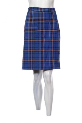 Φούστα Unbranded, Μέγεθος L, Χρώμα Πολύχρωμο, Τιμή 6,99 €