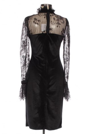 Sukienka .Tessa, Rozmiar XL, Kolor Czarny, Cena 322,99 zł