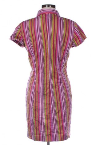 Φόρεμα Alain Manoukian, Μέγεθος L, Χρώμα Πολύχρωμο, Τιμή 24,99 €