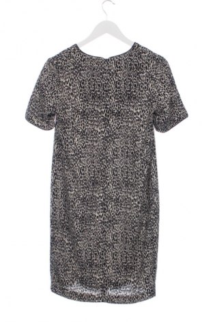 Φόρεμα Betty Jackson, Μέγεθος S, Χρώμα Πολύχρωμο, Τιμή 26,22 €