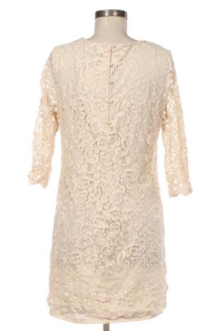 Kleid H&M, Größe L, Farbe Beige, Preis € 9,99