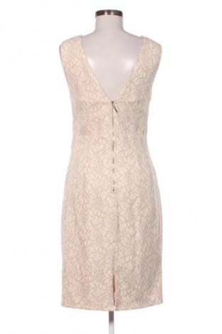 Φόρεμα Jolie Moi, Μέγεθος M, Χρώμα Πολύχρωμο, Τιμή 23,99 €