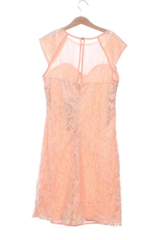 Φόρεμα Little Mistress, Μέγεθος S, Χρώμα Πορτοκαλί, Τιμή 45,99 €