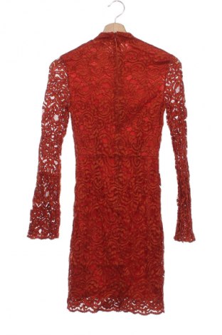Kleid Miss Selfridge, Größe XS, Farbe Orange, Preis 14,99 €