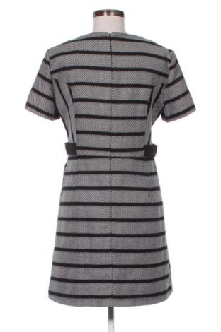 Šaty  Oasis, Velikost L, Barva Vícebarevné, Cena  569,00 Kč