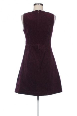 Sukienka Oasis, Rozmiar M, Kolor Fioletowy, Cena 133,99 zł