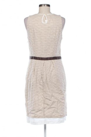 Kleid Promod, Größe M, Farbe Mehrfarbig, Preis 20,99 €