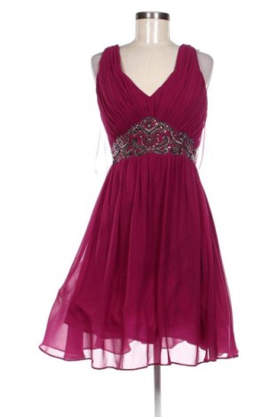 Kleid Showcase By Dorothy Perkins, Größe XL, Farbe Rosa, Preis 16,81 €