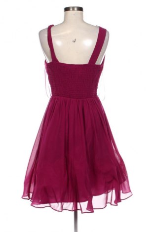 Kleid Showcase By Dorothy Perkins, Größe XL, Farbe Rosa, Preis 16,81 €