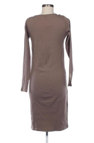 Sukienka Sinsay, Rozmiar XL, Kolor Brązowy, Cena 107,17 zł