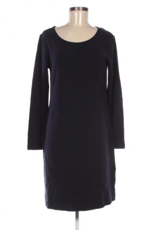 Sukienka Taifun, Rozmiar L, Kolor Niebieski, Cena 220,99 zł