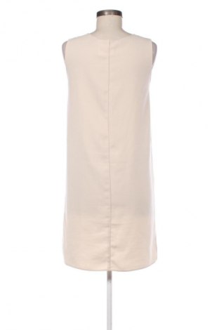 Φόρεμα Zara, Μέγεθος M, Χρώμα Πολύχρωμο, Τιμή 14,00 €