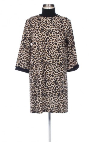 Sukienka Zara, Rozmiar M, Kolor Kolorowy, Cena 68,99 zł