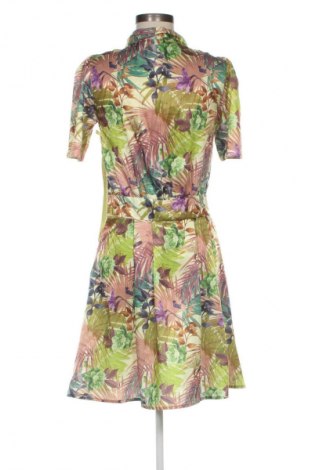 Sukienka Zee Lane, Rozmiar M, Kolor Kolorowy, Cena 202,99 zł