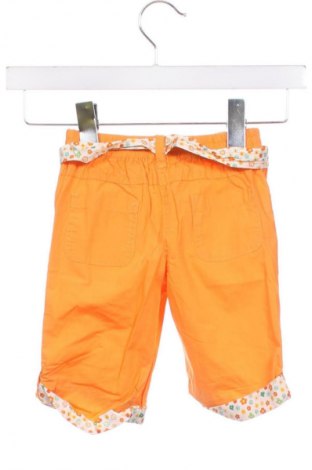 Детски панталон Topolino, Размер 6-9m/ 68-74 см, Цвят Многоцветен, Цена 2,04 €