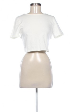 Damen Shirt About You, Größe M, Farbe Ecru, Preis € 15,99