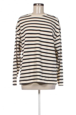 Γυναικεία μπλούζα Anko, Μέγεθος XL, Χρώμα Πολύχρωμο, Τιμή 5,99 €