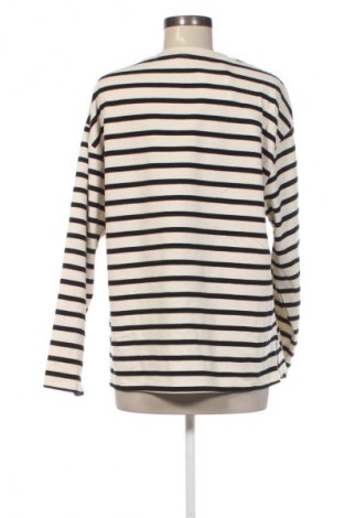 Γυναικεία μπλούζα Anko, Μέγεθος XL, Χρώμα Πολύχρωμο, Τιμή 5,99 €