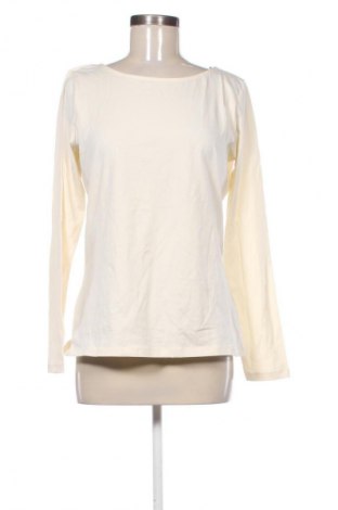 Dámská halenka Anna Field, Velikost XL, Barva Krémová, Cena  379,00 Kč