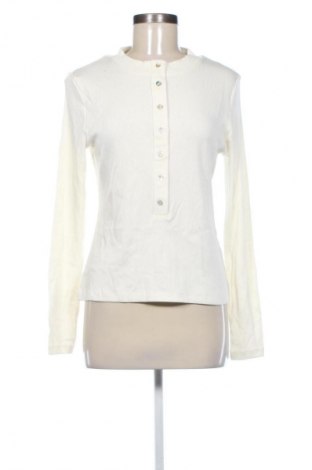 Dámská halenka Anna Field, Velikost XL, Barva Krémová, Cena  379,00 Kč