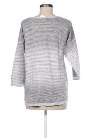 Dámská halenka Bianca, Velikost L, Barva Vícebarevné, Cena  275,00 Kč