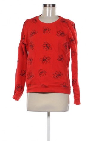 Γυναικεία μπλούζα Bien Bleu, Μέγεθος M, Χρώμα Πολύχρωμο, Τιμή 9,78 €