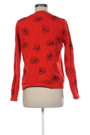 Γυναικεία μπλούζα Bien Bleu, Μέγεθος M, Χρώμα Πολύχρωμο, Τιμή 9,78 €