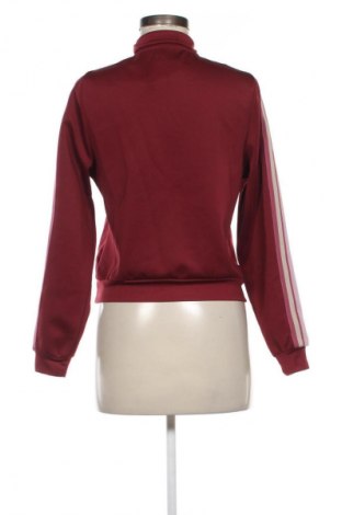 Γυναικεία μπλούζα Bik Bok, Μέγεθος S, Χρώμα Πολύχρωμο, Τιμή 4,99 €