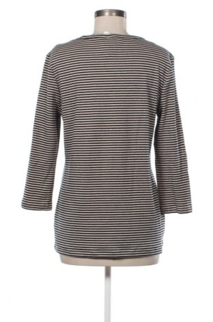 Γυναικεία μπλούζα Brax, Μέγεθος L, Χρώμα Πολύχρωμο, Τιμή 25,00 €