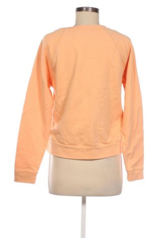 Damen Shirt Calvin Klein Jeans, Größe M, Farbe Orange, Preis 36,99 €
