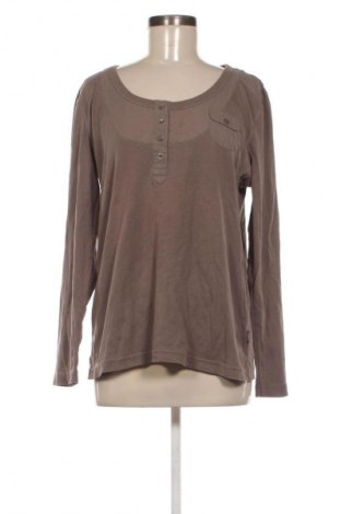Γυναικεία μπλούζα Cecil, Μέγεθος XXL, Χρώμα Καφέ, Τιμή 14,99 €
