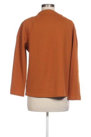 Γυναικεία μπλούζα Collection L, Μέγεθος M, Χρώμα Καφέ, Τιμή 4,99 €