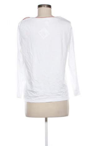 Damen Shirt Collection L, Größe L, Farbe Mehrfarbig, Preis € 12,99
