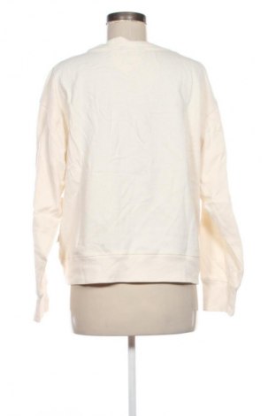 Damen Shirt DKNY, Größe M, Farbe Beige, Preis 117,99 €
