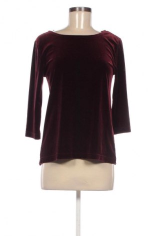 Γυναικεία μπλούζα Darling, Μέγεθος S, Χρώμα Κόκκινο, Τιμή 10,00 €