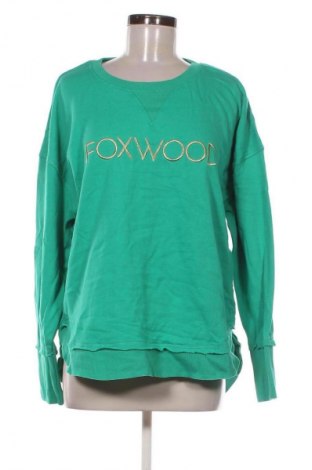 Γυναικεία μπλούζα Elements, Μέγεθος XXL, Χρώμα Πράσινο, Τιμή 5,99 €