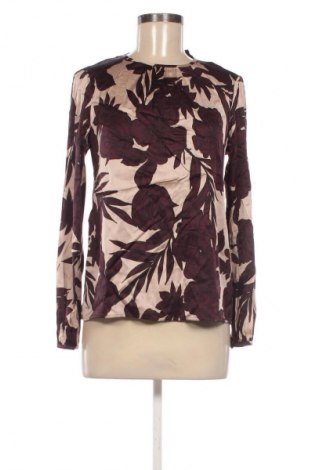 Γυναικεία μπλούζα Hallhuber, Μέγεθος XS, Χρώμα Πολύχρωμο, Τιμή 5,99 €
